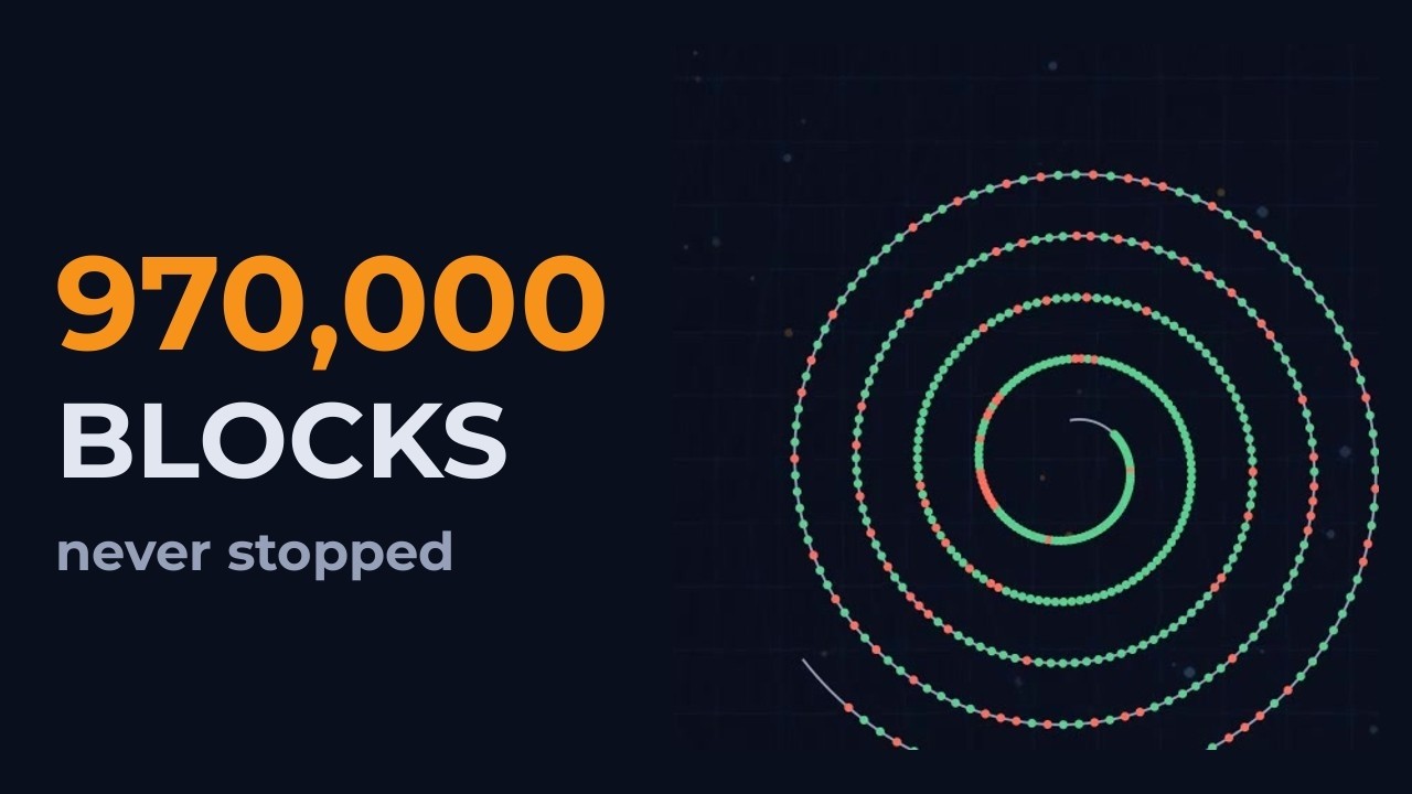 Every Bitcoin Block Since 2009, Visualized (970,000+ Blocks)